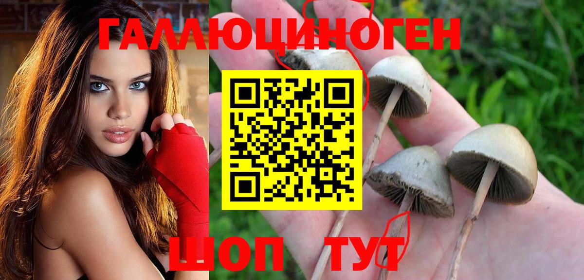 ЭКСТАЗИ Майский